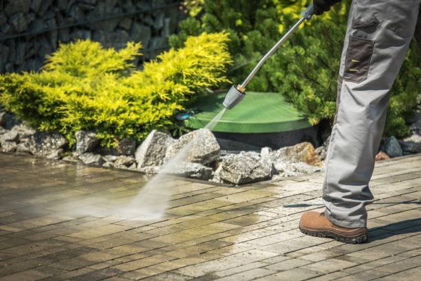 Best Driveway Pressure Washing  in Johnson City, KS